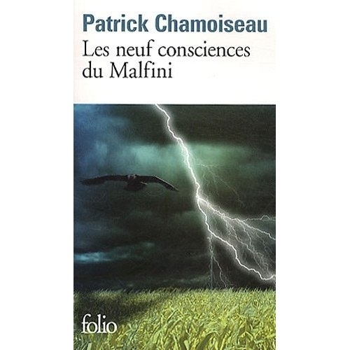 LIVRE, Roman:    "LES NEUFS CONSCIENCES DU MALFINI"    de Patrick Chamoiseau