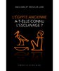 "L'EGYPTE ANCIENNE A-T-ELLE CONNU L'ESCLAVAGE ?" par LAM - (Livre)